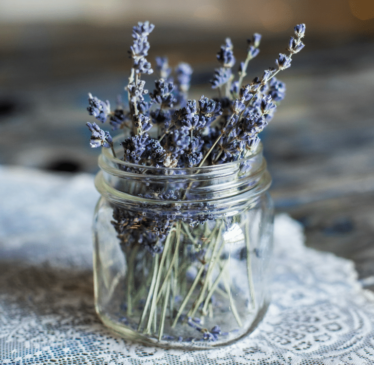 15 Minute Homestead Tasks for Busy People