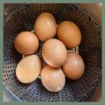 Instant Pot Eggs Featured Image