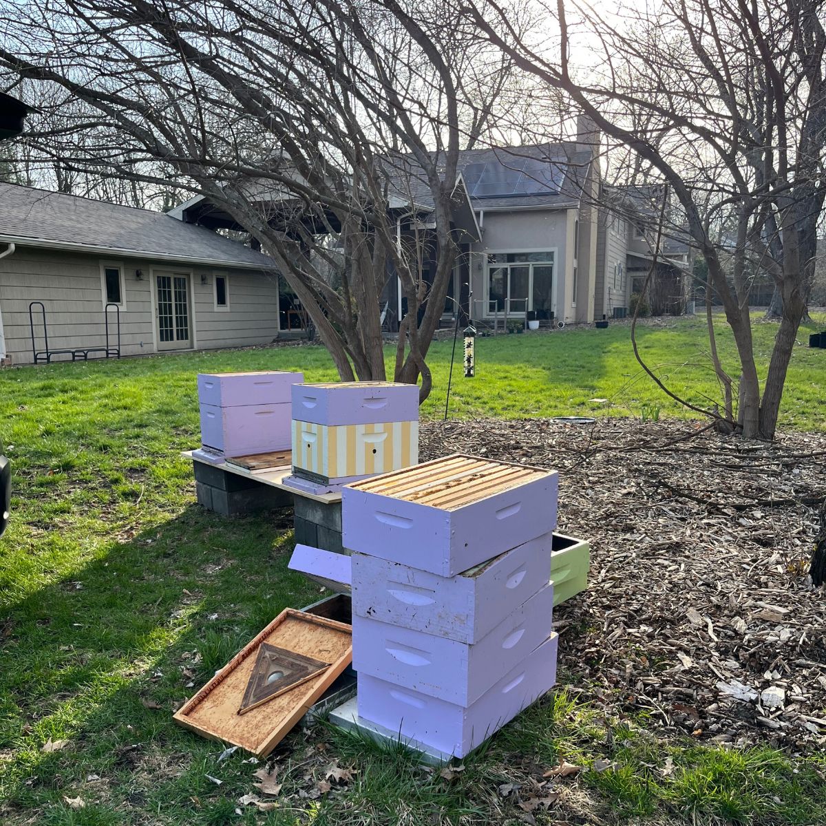 How to Start a Homestead While Working Full-Time: The Complete Guide