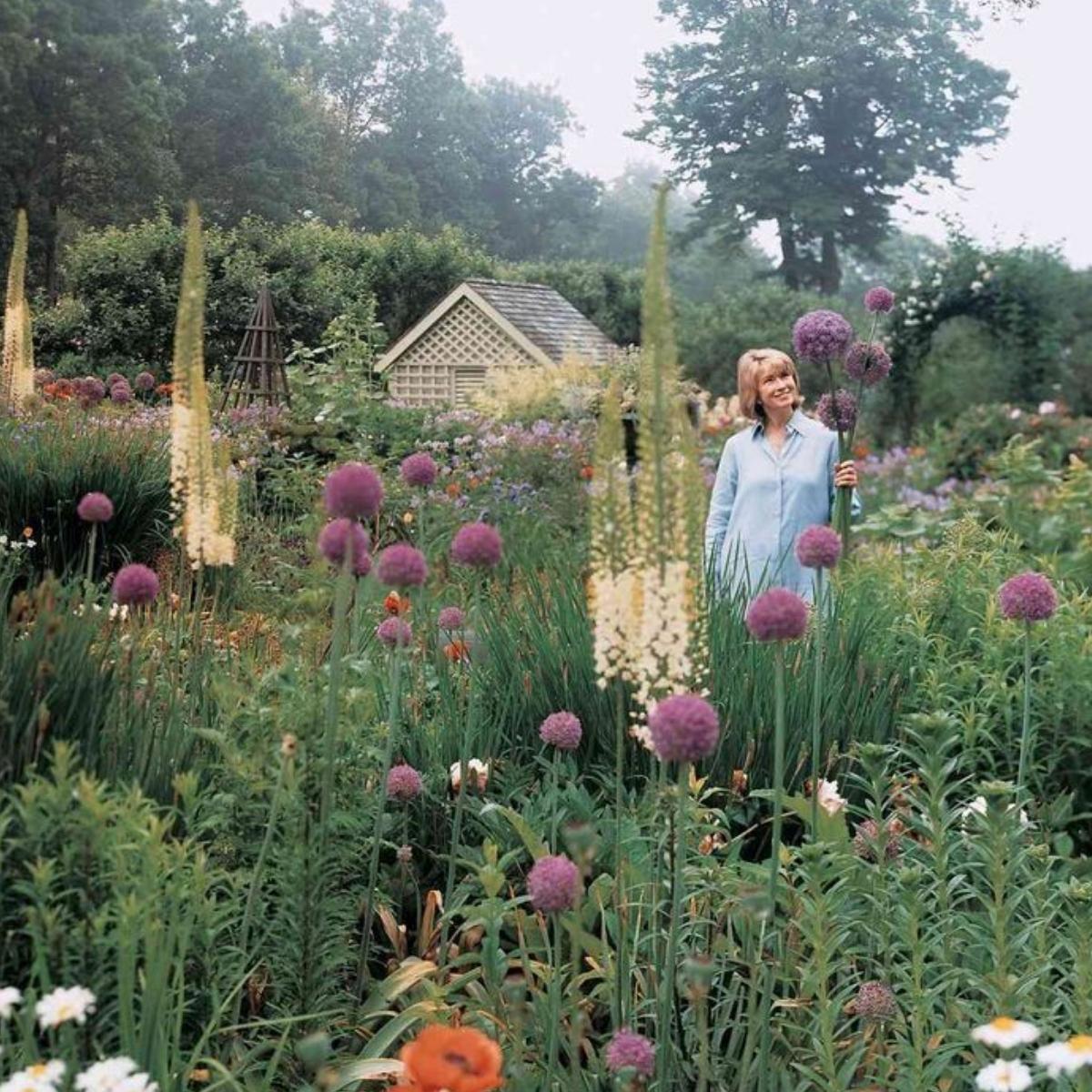 Martha Stewart Featured Image