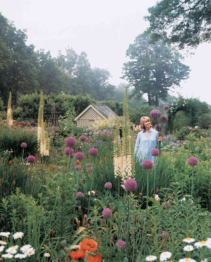 Martha Stewart holding giant alliums